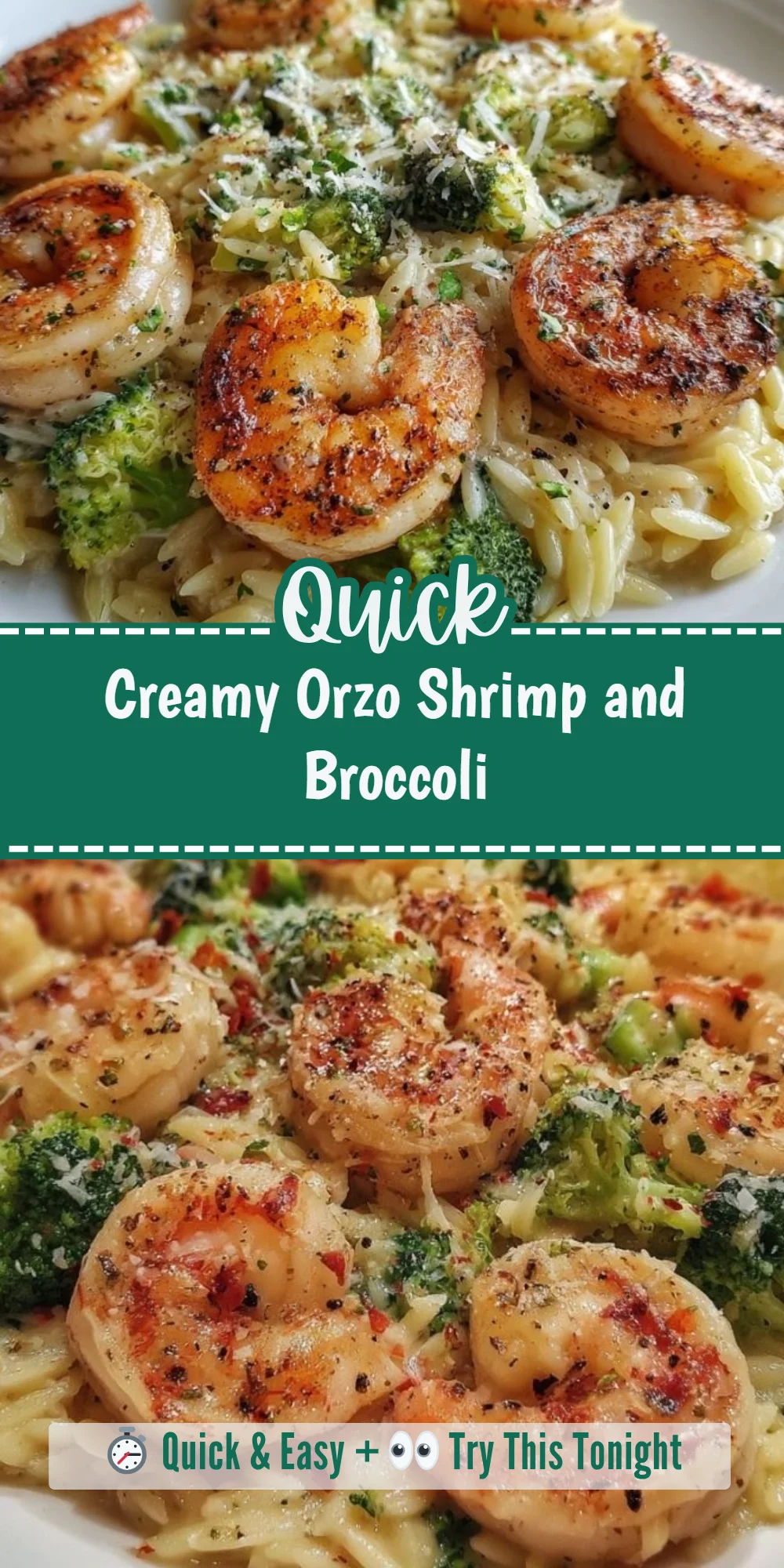Creamy Orzo Shrimp and Broccoli