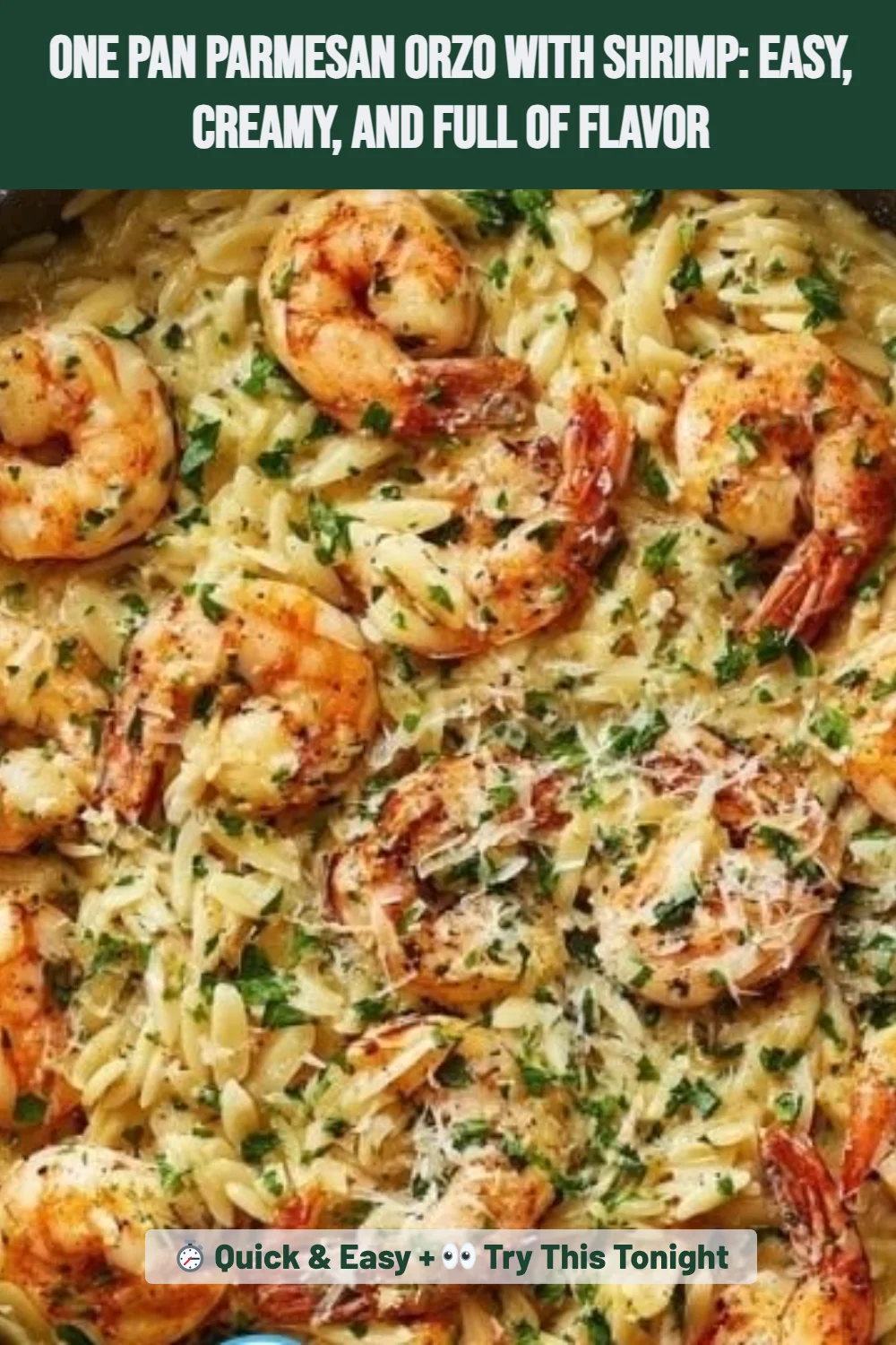 One Pan Parmesan Orzo with Shrimp: Easy, Creamy, and Full of Flavor