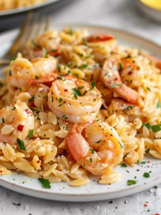 One-Pot Garlic Butter Shrimp Orzo prepared and garnished for a flavorful dish