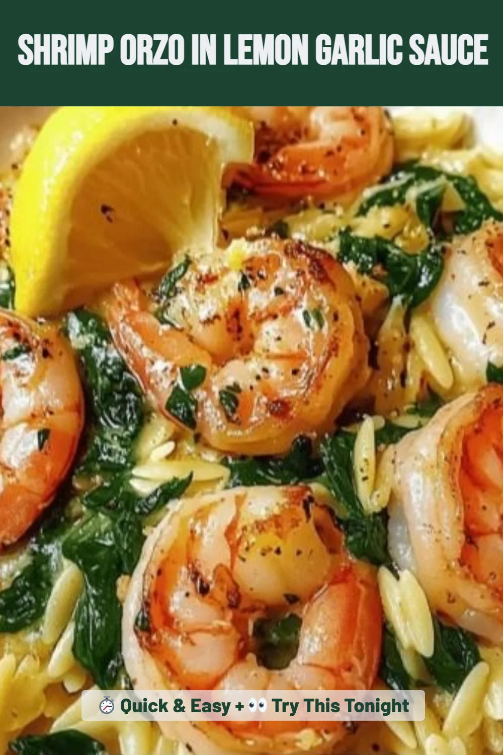 Shrimp Orzo in Lemon Garlic Sauce