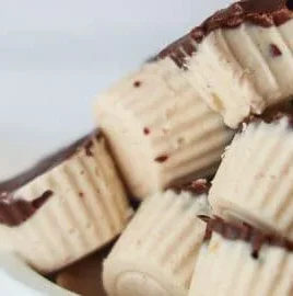 Delicious homemade easy frozen yogurt bites with dairy-free options