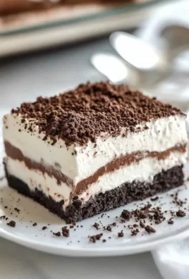No Bake Oreo Lasagna Dessert showcasing layers of creamy goodness and crushed Oreos.
