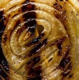 Delicious best ever grilled onions on a plate